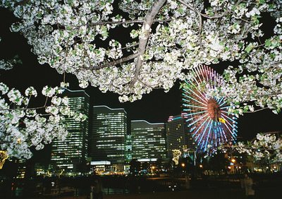 A beautiful World 9