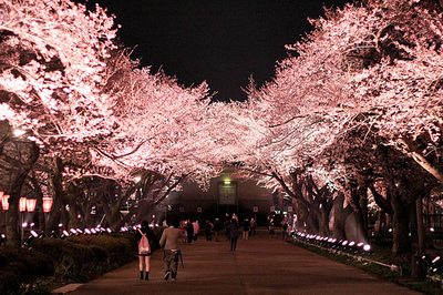 A beautiful World 9