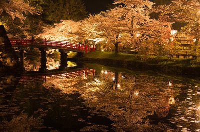 A beautiful World 9