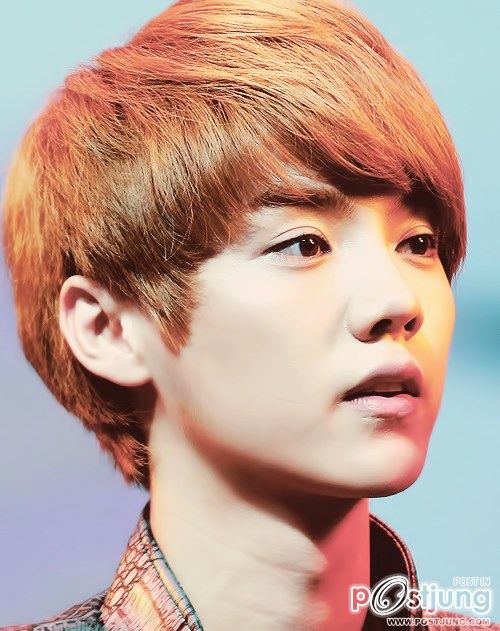 ลู่ห่าน