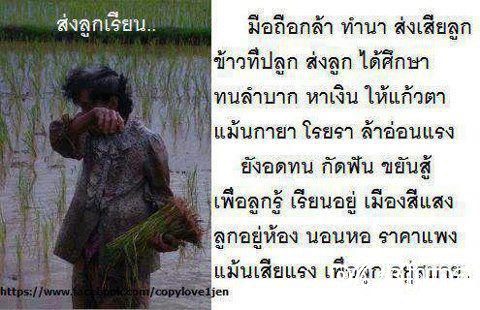 มาจากเฟสบุค