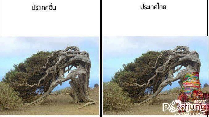 มาจากเฟสบุค