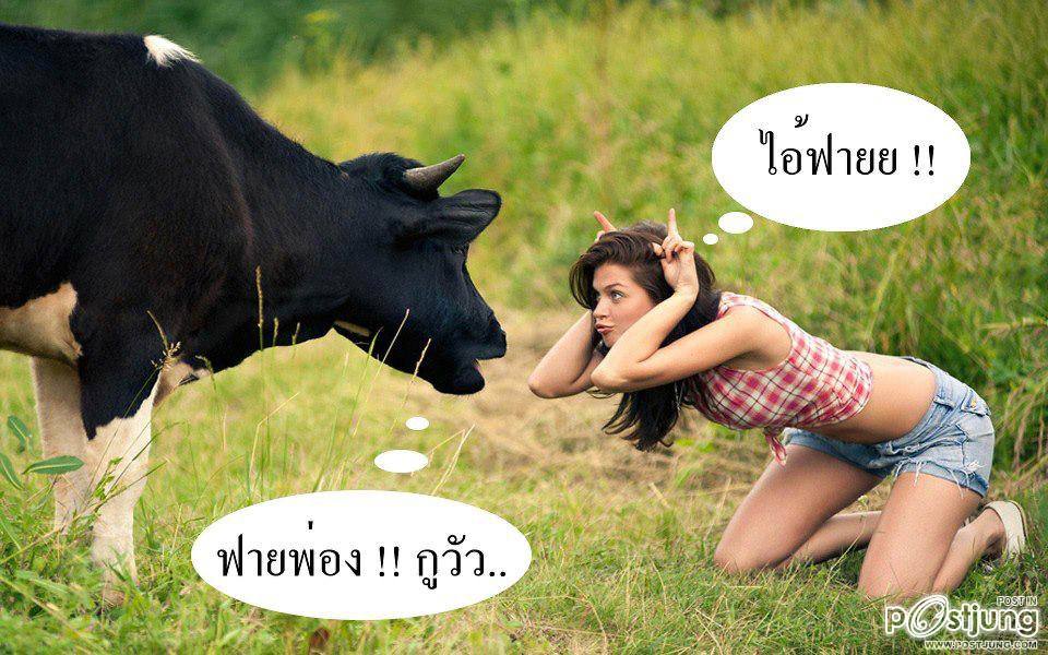 มาจากเฟสบุค