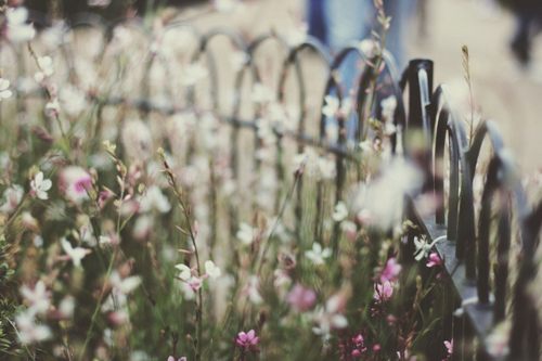 คนรัก รูปสวยชวนอาร์ต 36