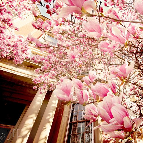 คนรัก รูปสวยชวนอาร์ต 36