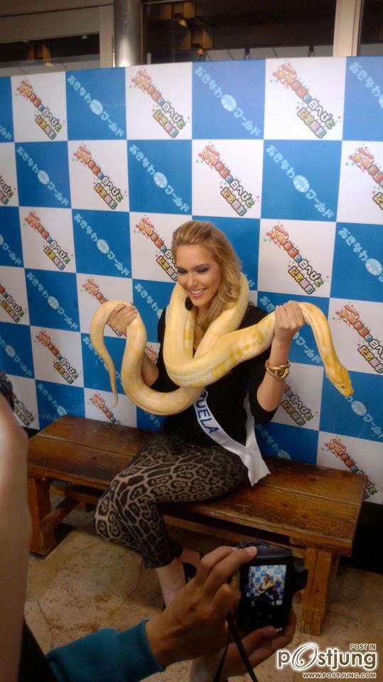 ยอมๆนางไปเถอะ Miss Venezuela International 2012