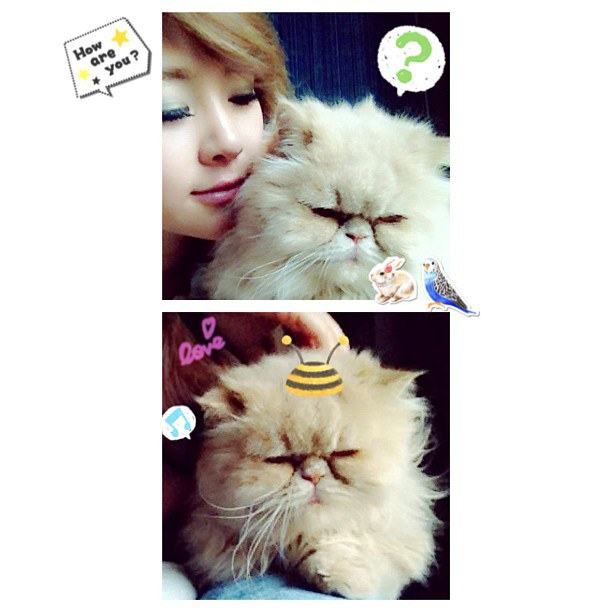 Instagram กัสจัง