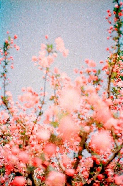 คนรัก รูปสวยชวนอาร์ต 43
