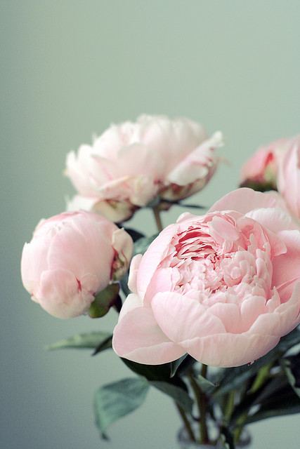 คนรัก รูปสวยชวนอาร์ต 44