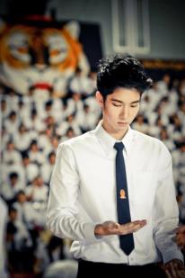 โจ วิดยา
