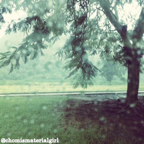 ชมพู่ อารยา ภาพจาก MaterialGirl