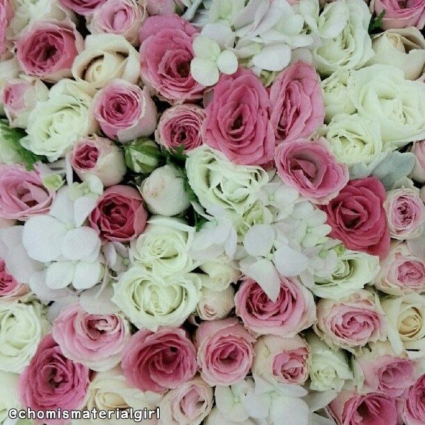 ชมพู่ อารยา ภาพจาก MaterialGirl