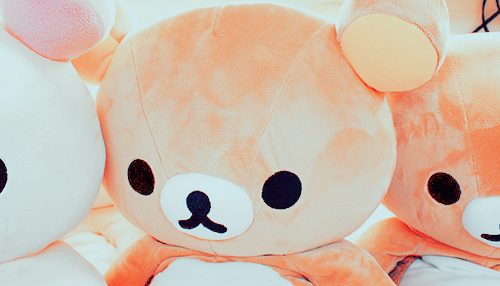 คนรัก หมีน้อย rilakkuma