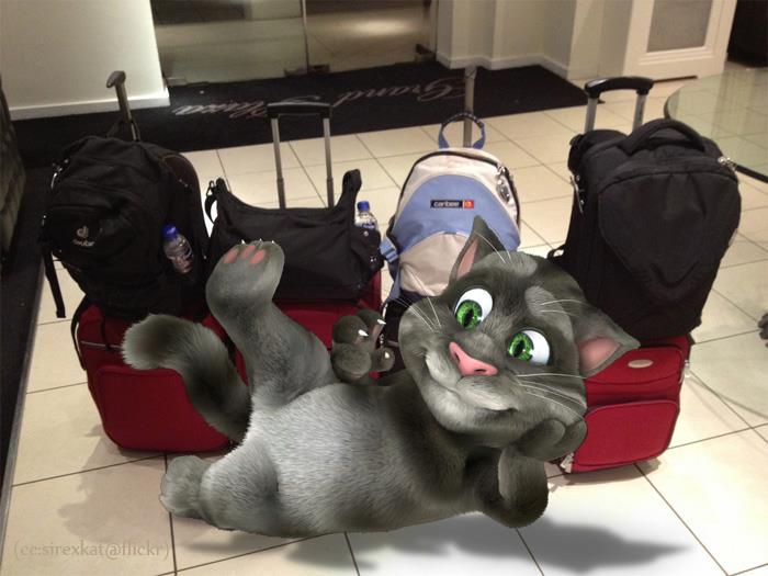 Talking Tom Cat