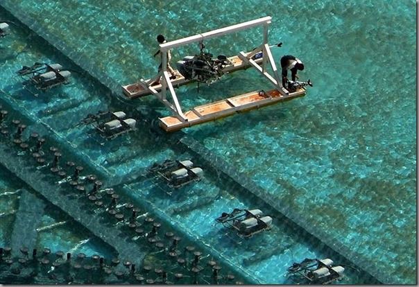 สุดยอดน้ำพุเต้นระบำใหญ่ที่สุดในโลก