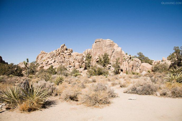 Beautiful desert