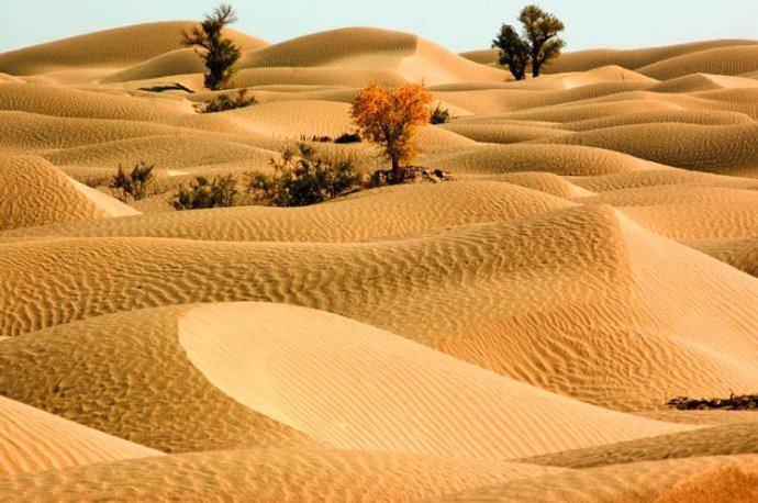 Beautiful desert