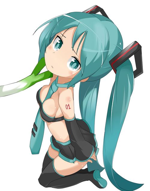 (VOCALOID) miku by may