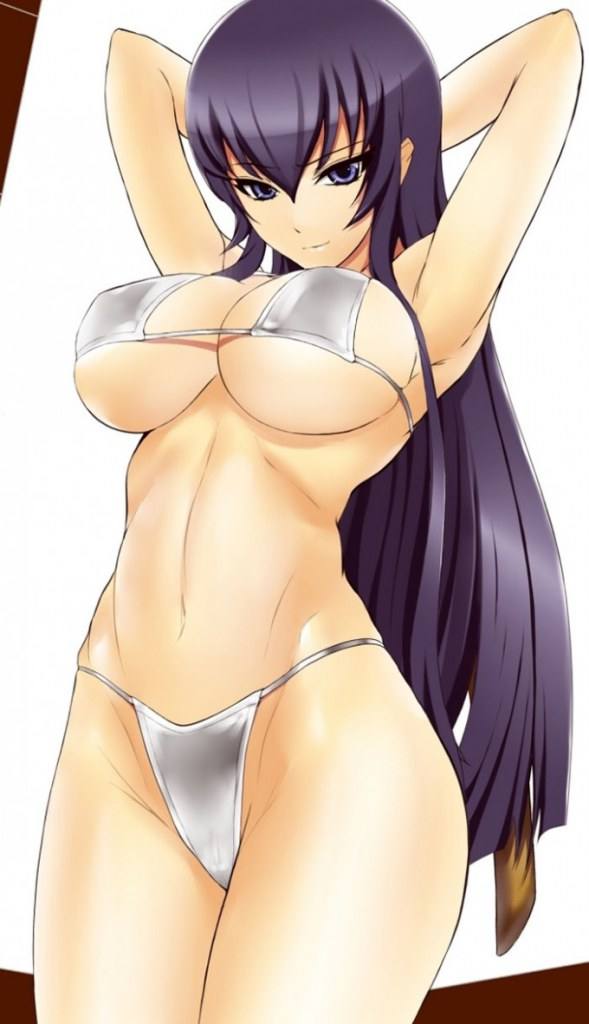 (H.O.T.D) Busujima Saeko by may