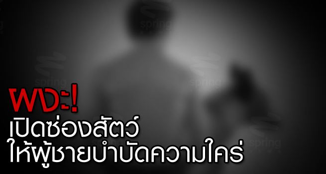 ผงะ! พบ คนเปิดซ่องสัตว์ สุดวิตถาร ให้คนมีเพศสัมพันธ์ กับสุนัข