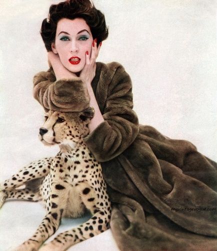 Dovima !! นางแบบโมเดลสุดเริดเเห่งยุค 50s