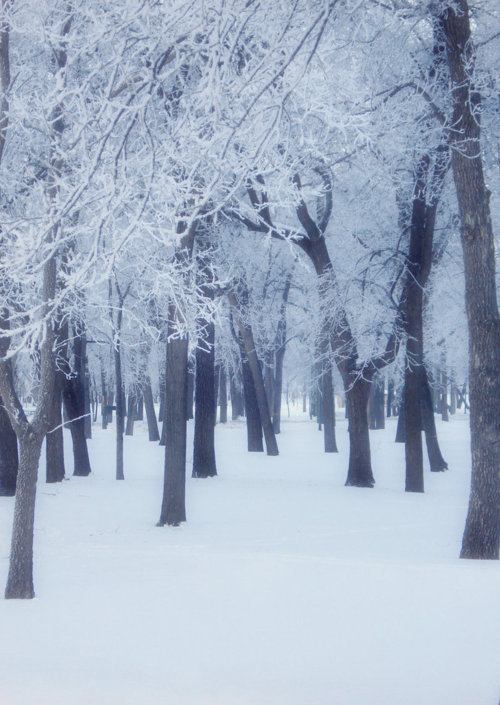 A beautiful World 10