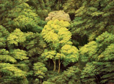 A beautiful World 10