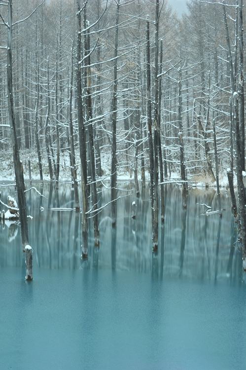 A beautiful World 10