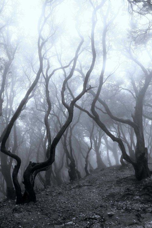 A beautiful World 10