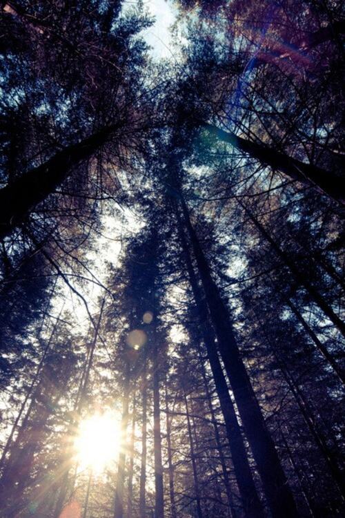 A beautiful World 10