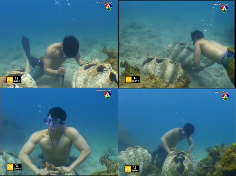 ไท แห่ง ดุจตะวันดั่งภูผา
