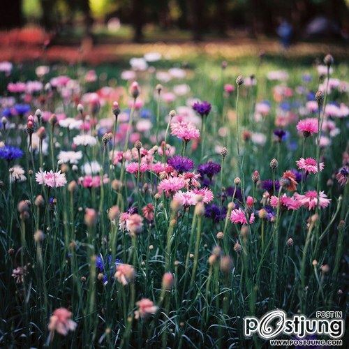 A beautiful World 11