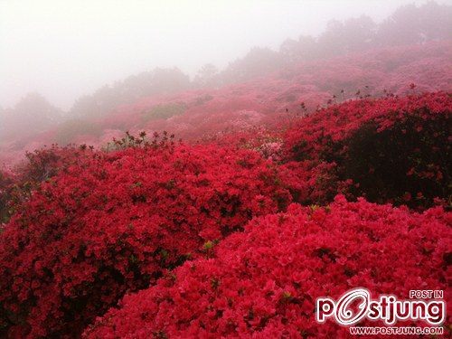 A beautiful World 11