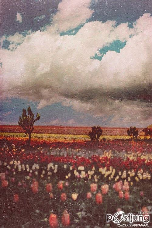 A beautiful World 11