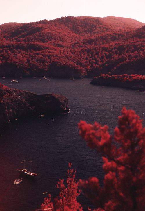 A beautiful World 11