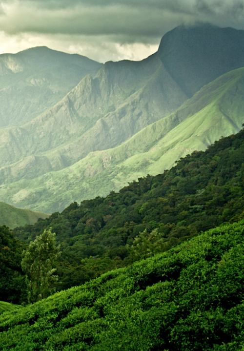 A beautiful World 11