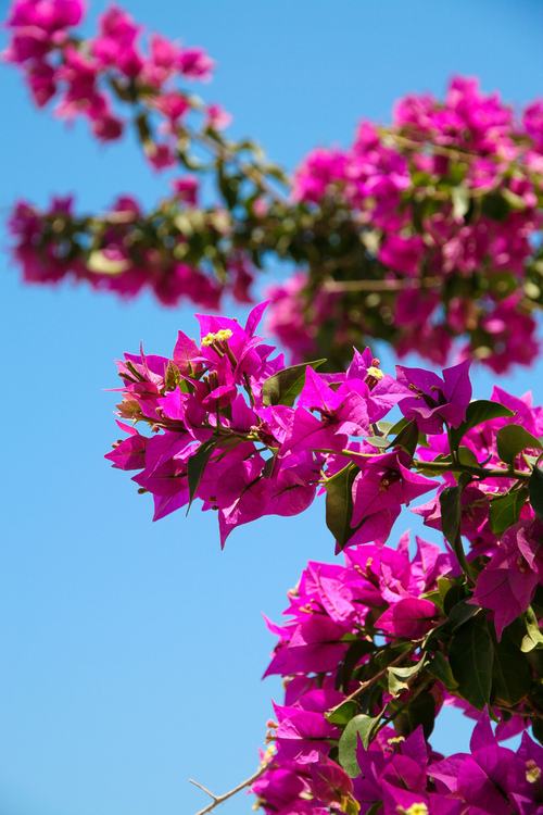 A beautiful World 12