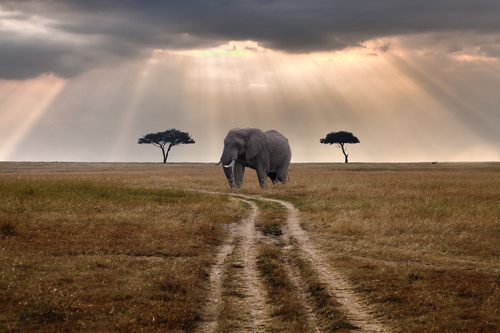 A beautiful World 13