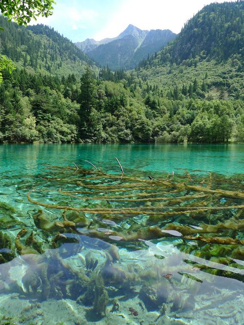 A beautiful World 13