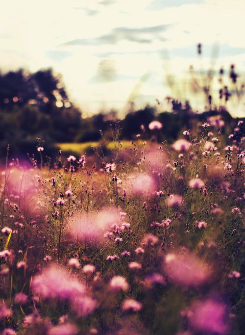 คนรัก รูปสวยชวนอาร์ต 56