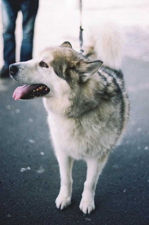 คนรัก รูปสวยชวนอาร์ต 57