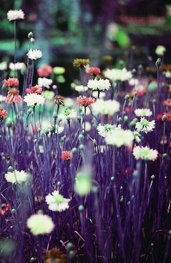 คนรัก รูปสวยชวนอาร์ต 57