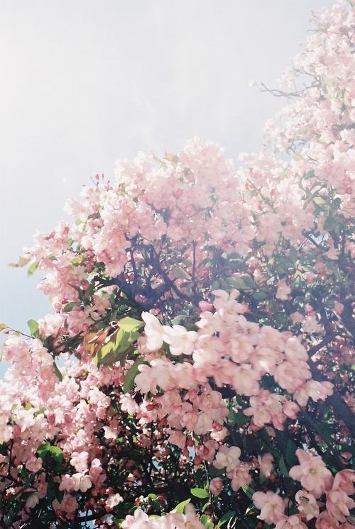 คนรัก รูปสวยชวนอาร์ต 57