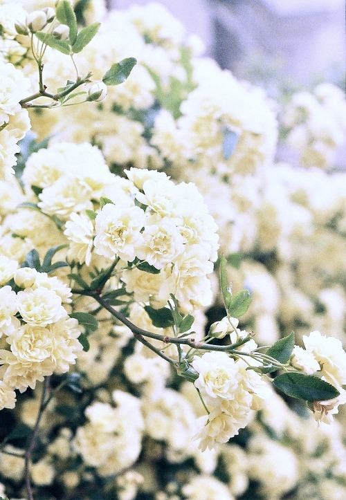 คนรัก รูปสวยชวนอาร์ต 58