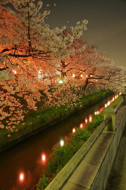 คนรัก รูปสวยชวนอาร์ต 58