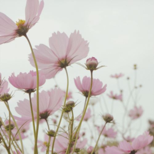คนรัก รูปสวยชวนอาร์ต 59
