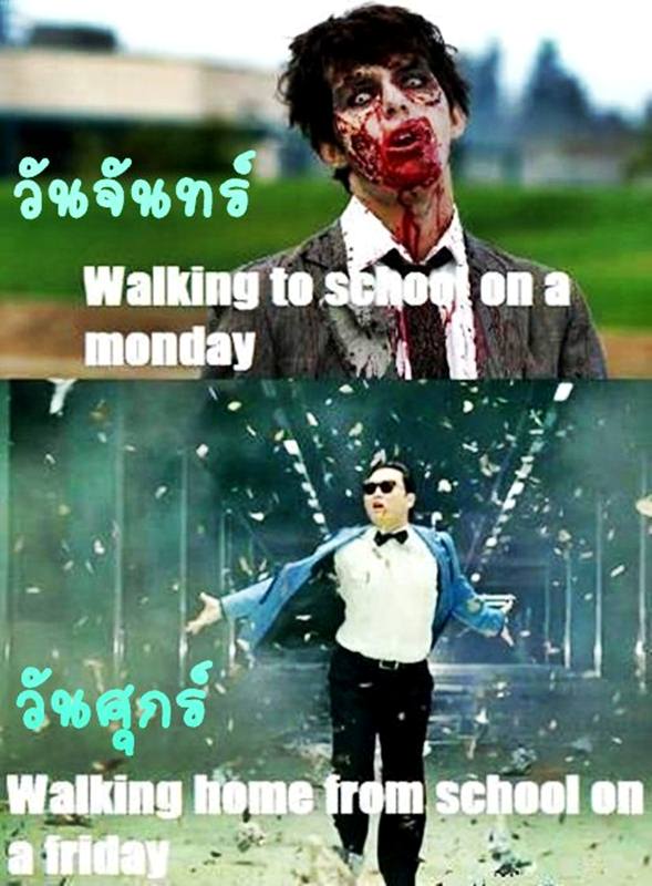 แปลก ขำ ฮา ทำไปได้