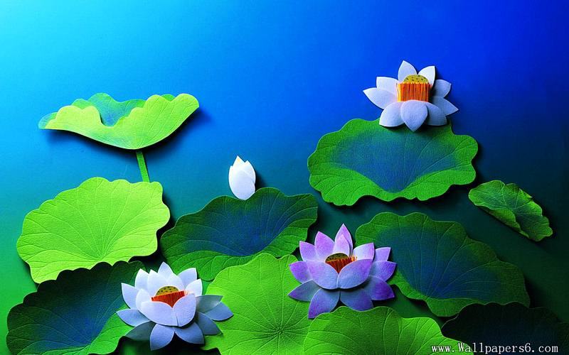 Color of Asia