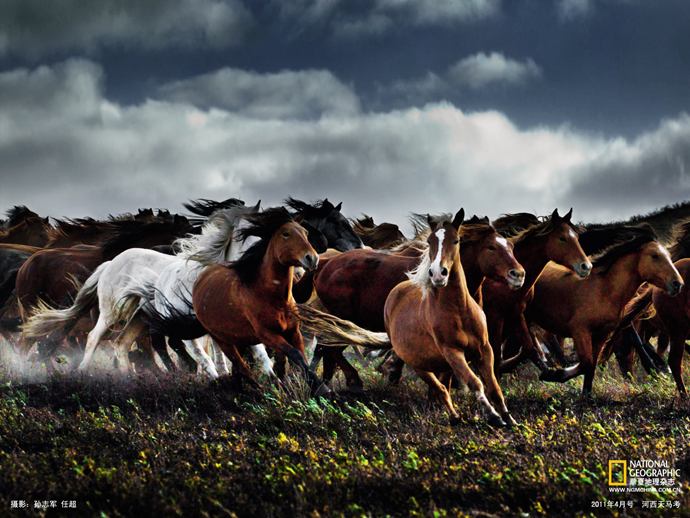 Photographer's lens gallop