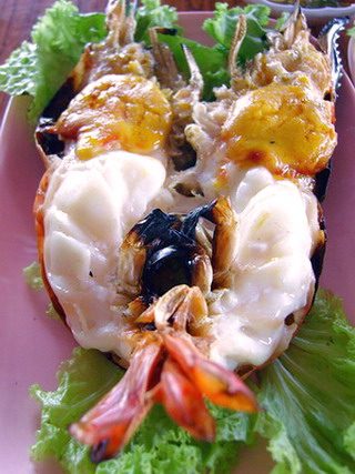 หิวแล้ว.....มาทานข้าวกับหนูกันนะค่ะ